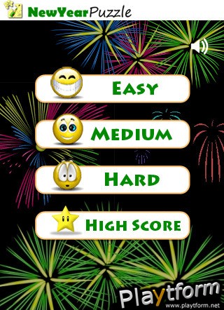 New Year Puzzle - Celebrate 2010 in a fun way! (iPhone/iPod)