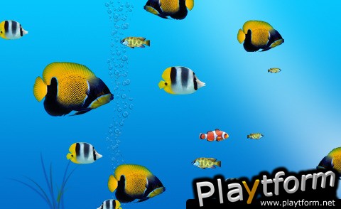 Hungry Fish (iPhone/iPod)