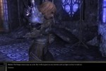 Divinity II: Ego Draconis (PC)