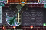 Castlevania: The Adventure ReBirth (Wii)