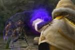 Final Fantasy Crystal Chronicles: The Crystal Bearers (Wii)