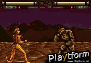 FX Fighter (PC)