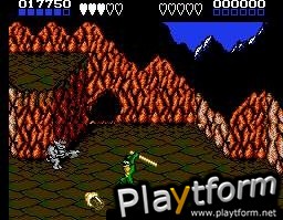 Battletoads (NES)