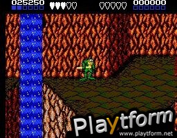 Battletoads (NES)