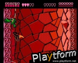 Battletoads (NES)