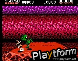 Battletoads (NES)