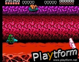 Battletoads (NES)