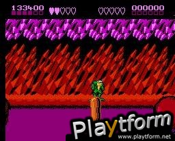 Battletoads (NES)