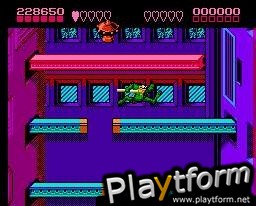 Battletoads (NES)