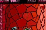 Battletoads (NES)
