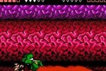 Battletoads (NES)