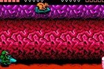 Battletoads (NES)