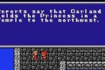 Final Fantasy (NES)