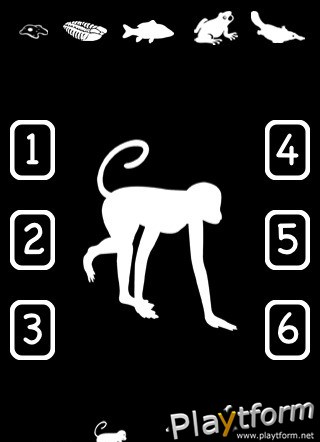 SwipeHead (iPhone/iPod)