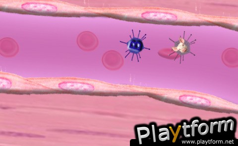 White Blood Cells, Attack! (iPhone/iPod)