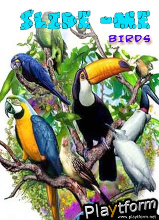 Slide Me:Birds (iPhone/iPod)