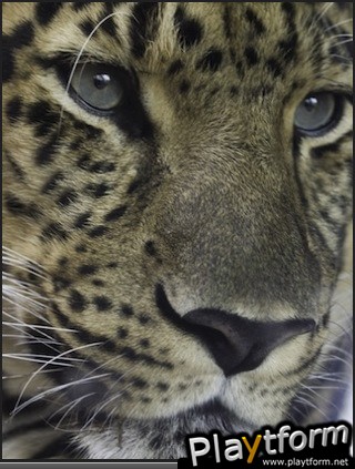 Puzzle Me Photo (iPhone/iPod)