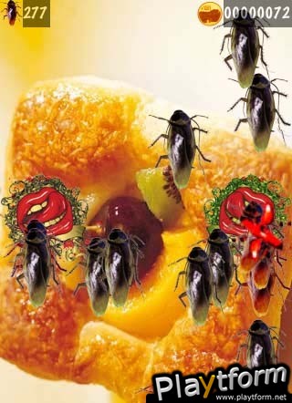 iCatch Roach (iPhone/iPod)