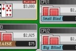 High Stakes: Texas Hold'Em (DS)