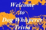 Dog Whisperer Trivia (iPhone/iPod)