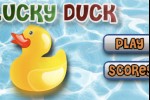 Lucky Duck (iPhone/iPod)