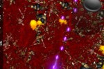 BloodnGuns (iPhone/iPod)