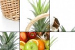 SlideMe:Fruits (iPhone/iPod)