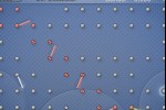 Spin Doctor (iPhone/iPod)