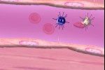 White Blood Cells, Attack! (iPhone/iPod)