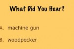 SoundTrivia (iPhone/iPod)