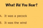 SoundTrivia (iPhone/iPod)