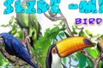 Slide Me:Birds (iPhone/iPod)