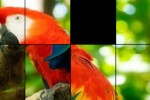 Slide Me:Birds (iPhone/iPod)