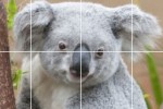 Puzzle Me Photo (iPhone/iPod)