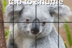 Puzzle Me Photo (iPhone/iPod)