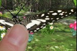 iButterfly (iPhone/iPod)