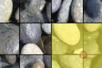 imagicSpin Pro (iPhone/iPod)