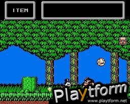 DuckTales (NES)