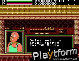 Faxanadu (NES)