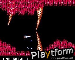 Life Force (NES)