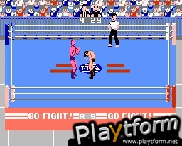 Pro Wrestling (NES)