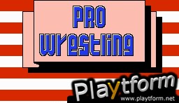Pro Wrestling (NES)