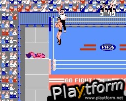 Pro Wrestling (NES)