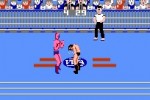 Pro Wrestling (NES)