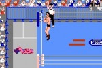 Pro Wrestling (NES)