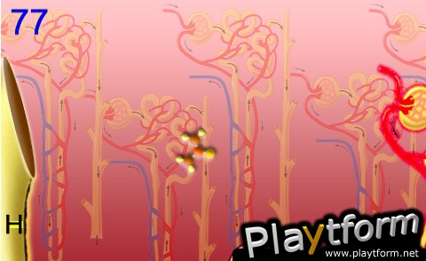 Kidney Bounce (iPhone/iPod)