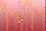 Kidney Bounce (iPhone/iPod)
