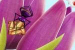 Box n' Bug (iPhone/iPod)