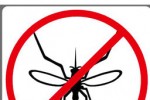 Stop Fly (iPhone/iPod)
