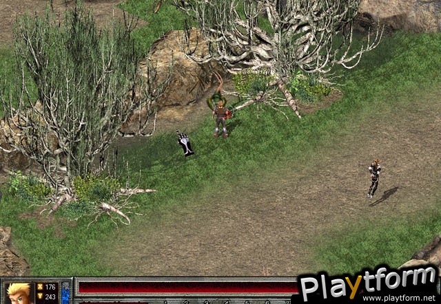Fallen Age (PC)